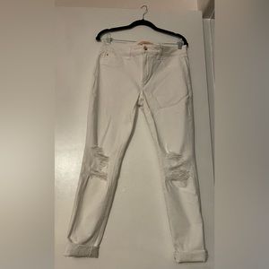 SCOTTIE- WHITE JOE'S JEANS- New With Tags